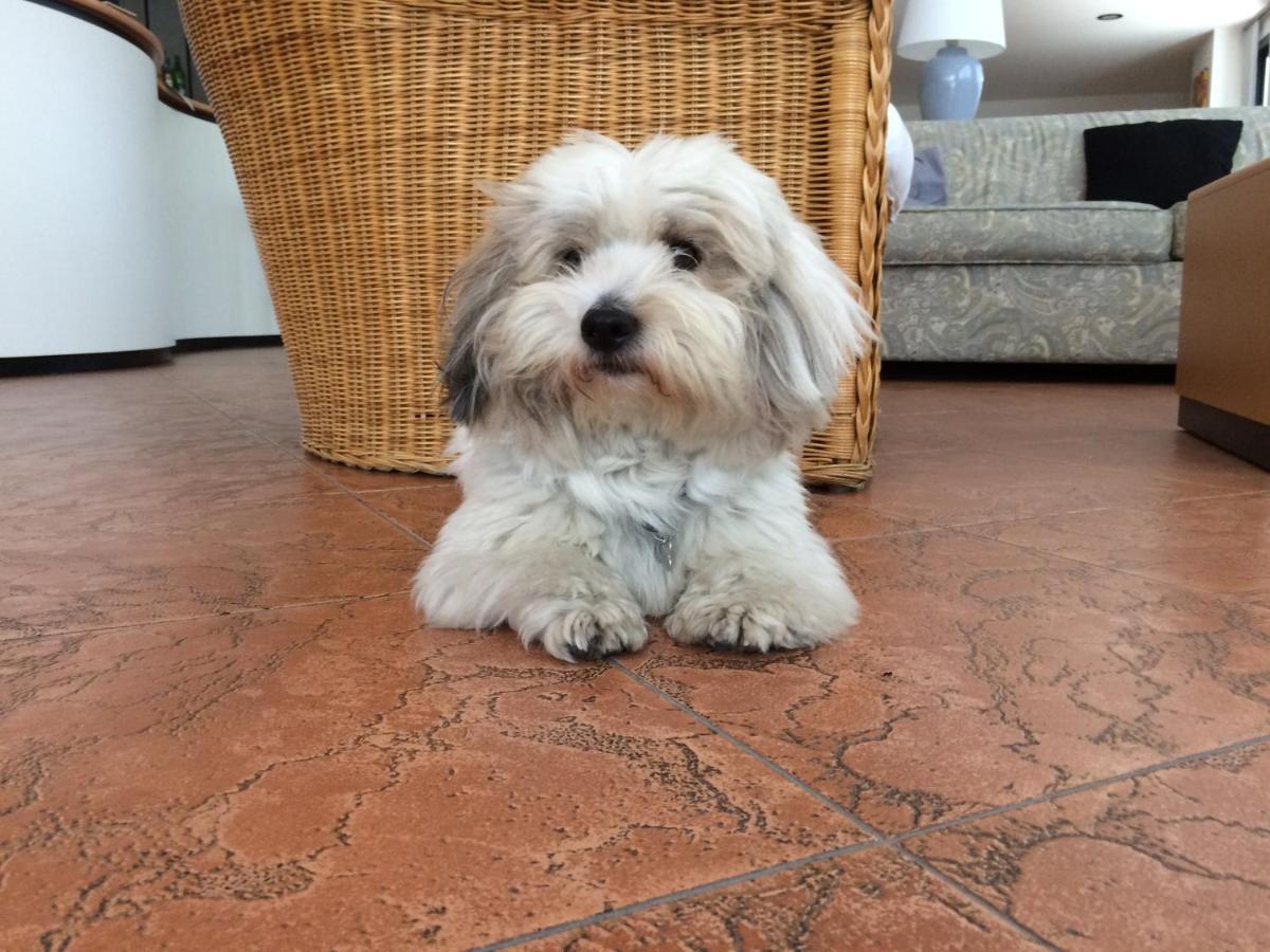 B&B Moresco กัตตอลิกา ภายนอก รูปภาพ